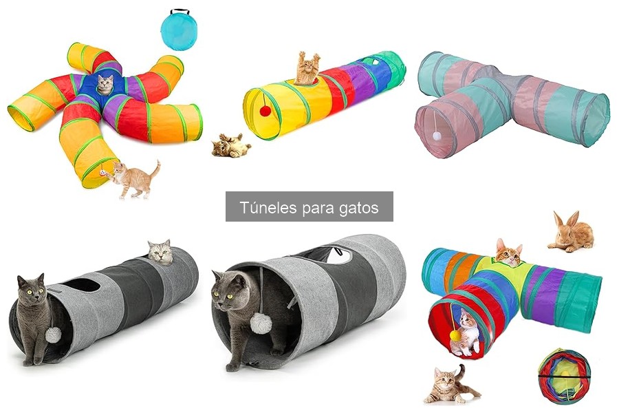 Túneles para gatos en oferta: ¿dónde comprarlos?