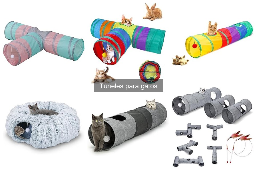 Túneles para gatos: ¿son realmente seguros para tu mascota?