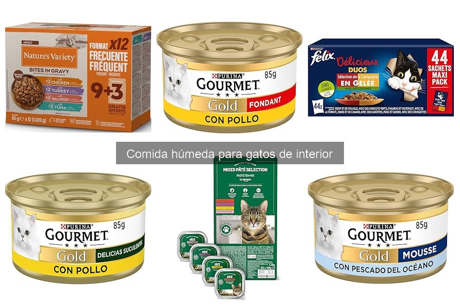 Ventajas de la comida húmeda para la hidratación de gatos