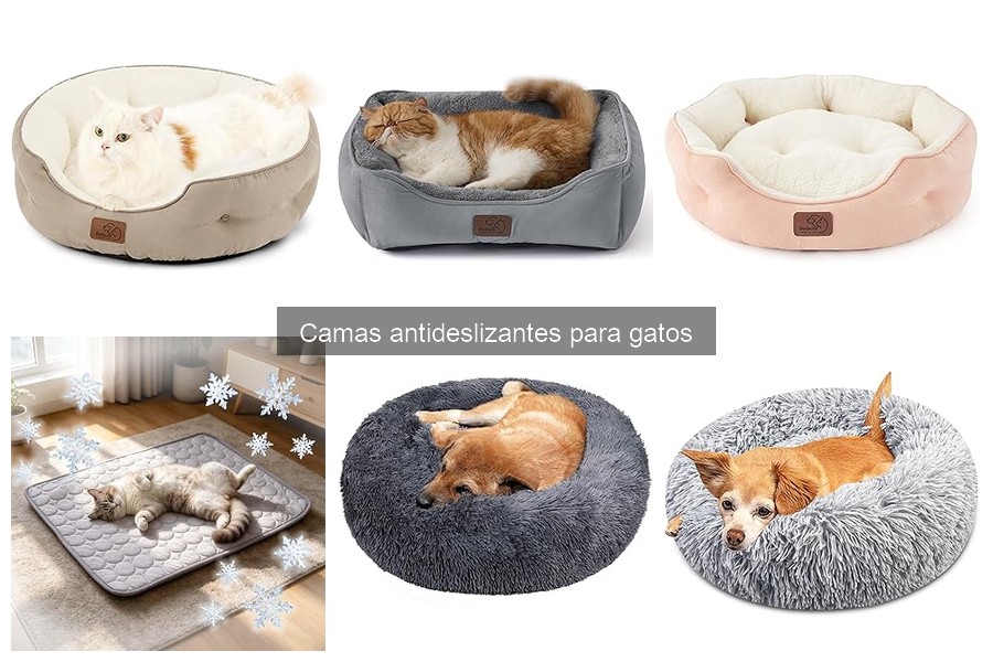 Ventajas de las camas antideslizantes para gatos