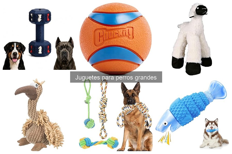 Ventajas de los Juguetes Interactivos para Perros Grandes