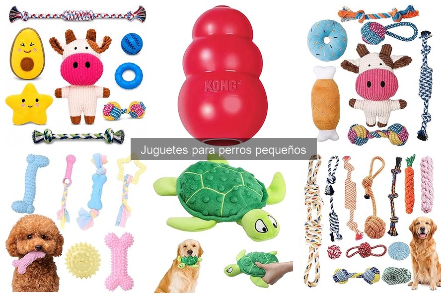 Ventajas de los Juguetes Interactivos para Perros Pequeños