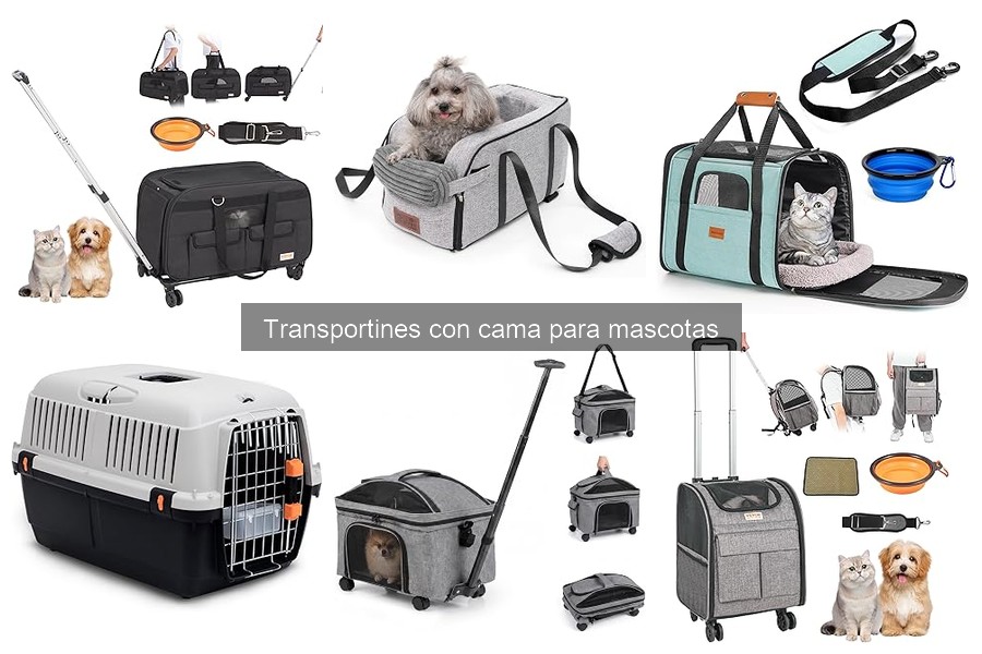 Ventajas de los transportines con cama para perros y gatos