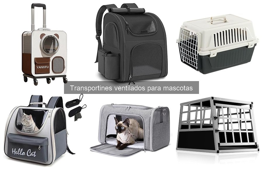 Ventajas de los transportines ventilados para mascotas