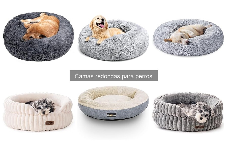 Ventajas de usar camas redondas para perros