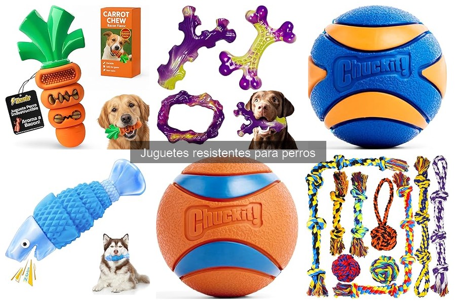 Ventajas de usar juguetes resistentes para perros