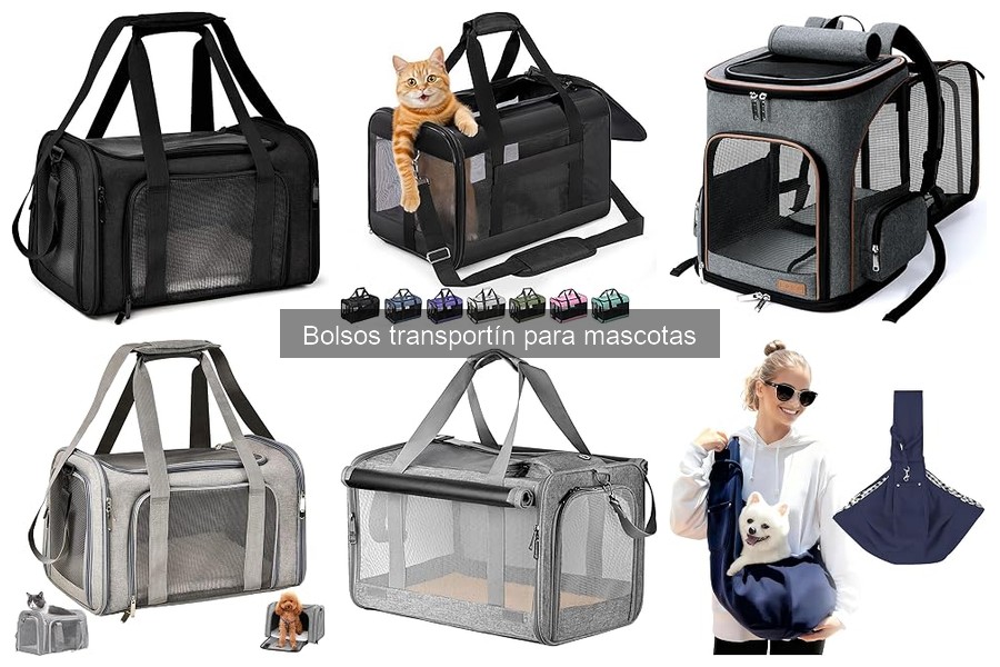 Ventajas de usar un bolso transportín para mascotas
