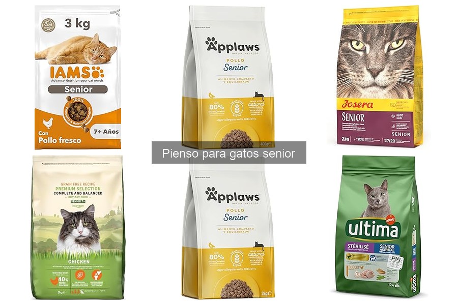 Ventajas del pienso para gatos senior frente al normal