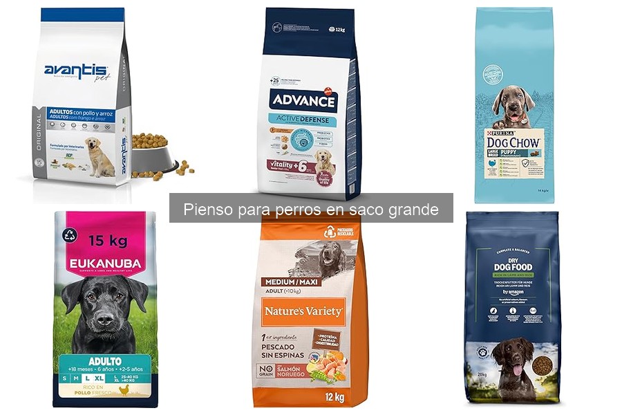 Ventajas del pienso para perros en saco grande: ¡ahorra hoy!