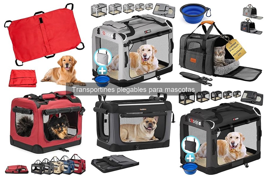Ventajas del Transportín Plegable para Mascotas