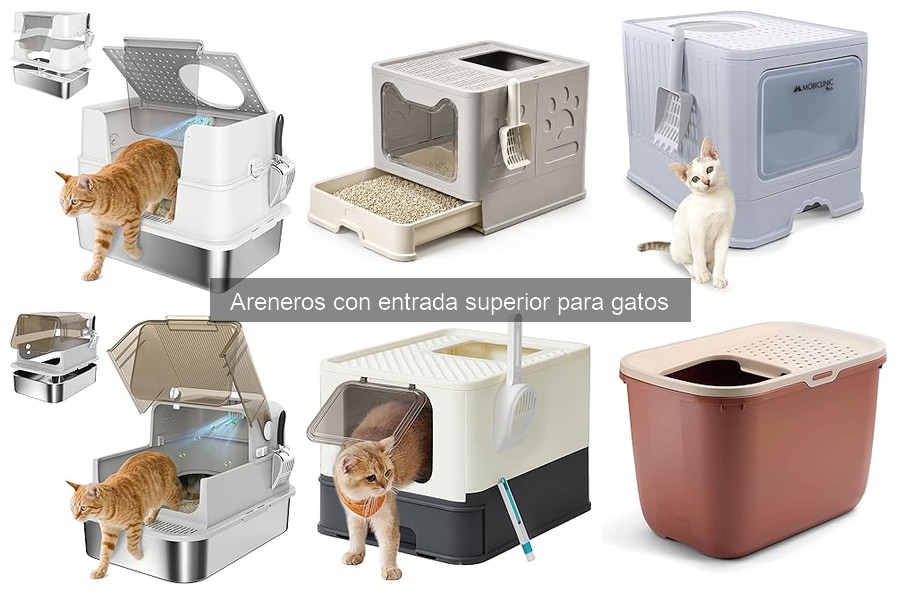 Ventajas y desventajas de areneros con entrada superior para gatos