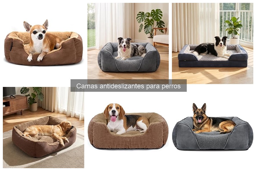 Ventajas y desventajas de camas antideslizantes para perros
