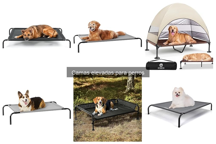 Ventajas y desventajas de camas elevadas para perros