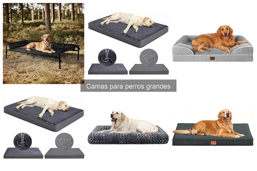 Ventajas y desventajas de camas ortopédicas para perros grandes
