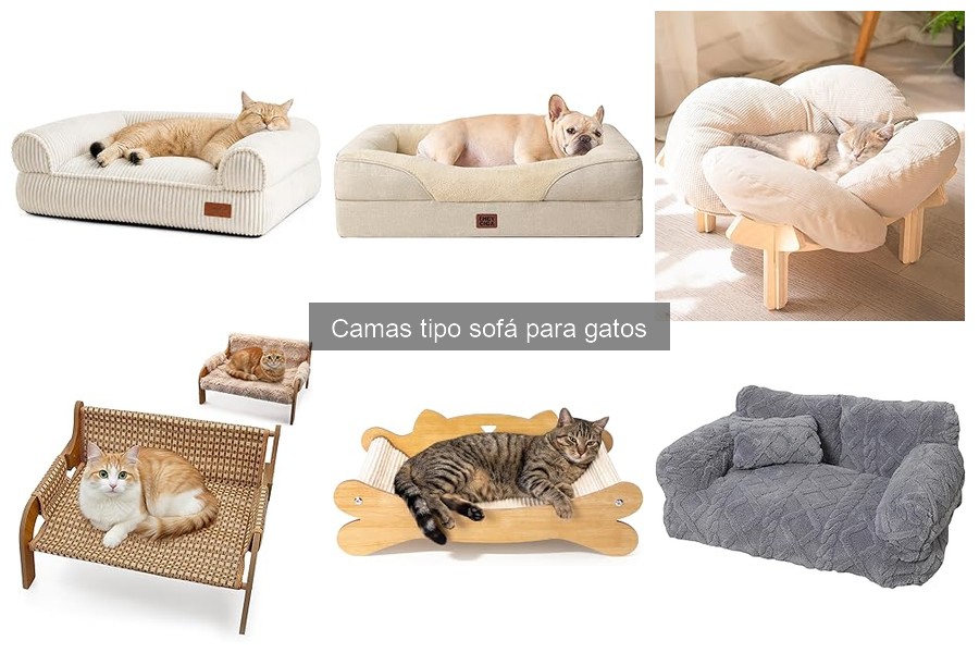 Ventajas y Desventajas de Camas tipo Sofá para Gatos