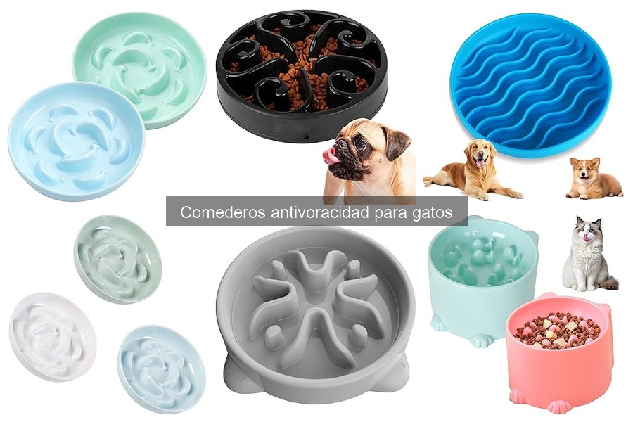 Ventajas y desventajas de comederos antivoracidad para gatos