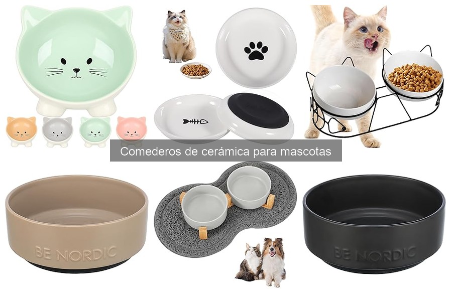 Ventajas y Desventajas de Comederos de Cerámica para Mascotas