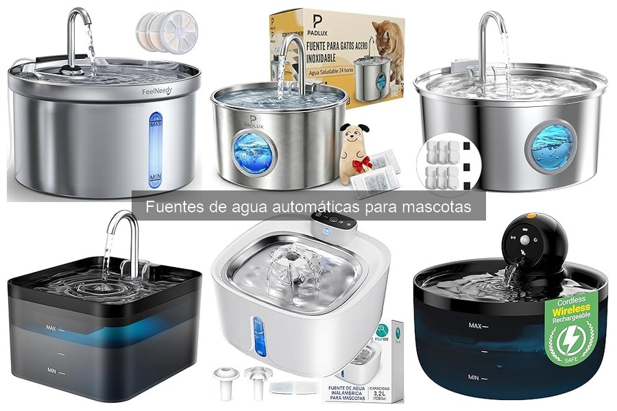 Ventajas y desventajas de fuentes de agua automáticas programables
