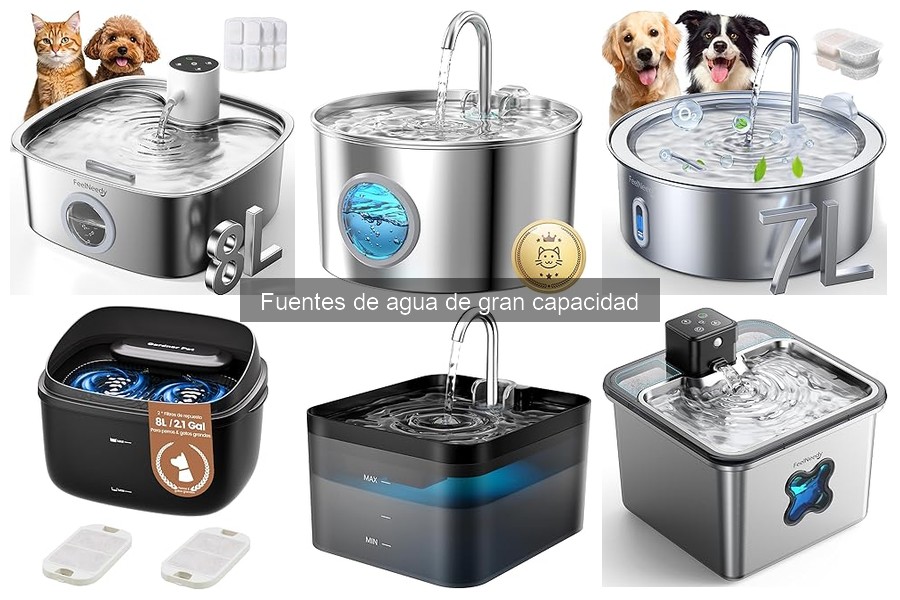 ** Ventajas y desventajas de fuentes de agua de gran capacidad