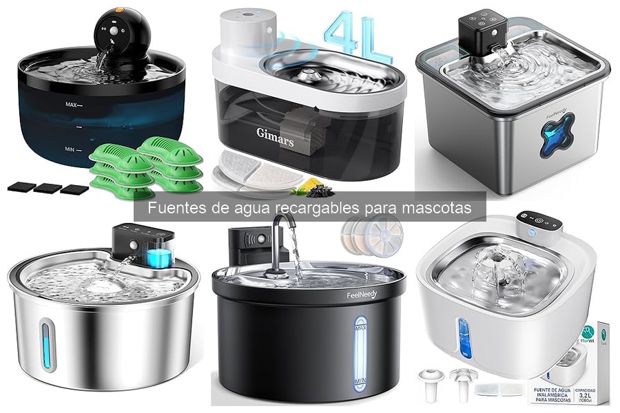 Ventajas y desventajas de fuentes de agua recargables para mascotas