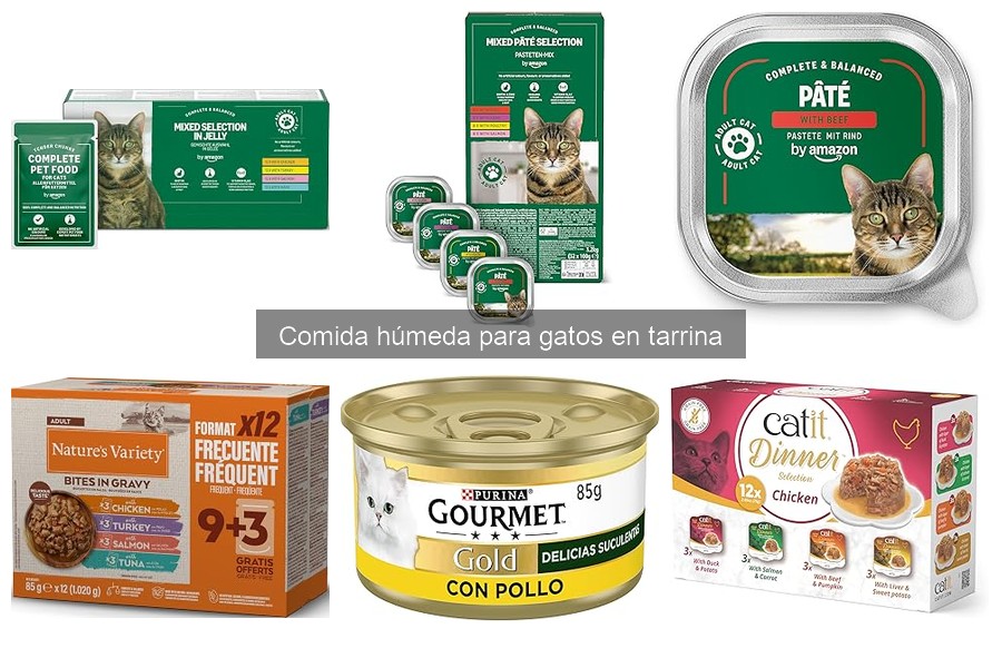 Ventajas y Desventajas de la Comida Húmeda en Tarrina para Gatos