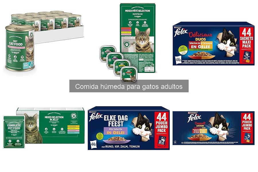 Ventajas y desventajas de la comida húmeda para gatos