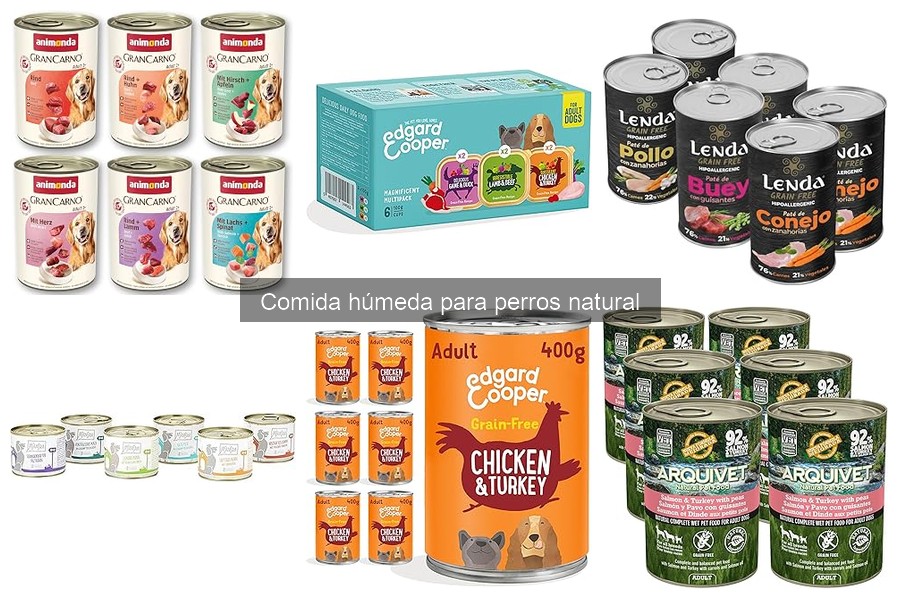 Ventajas y desventajas de la comida húmeda para perros