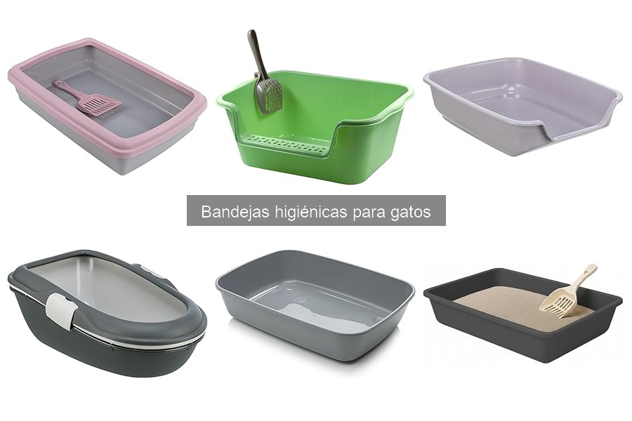 Ventajas y desventajas de las bandejas higiénicas para gatos
