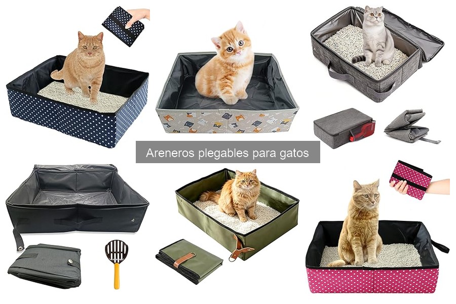 Ventajas y desventajas de los areneros plegables para gatos