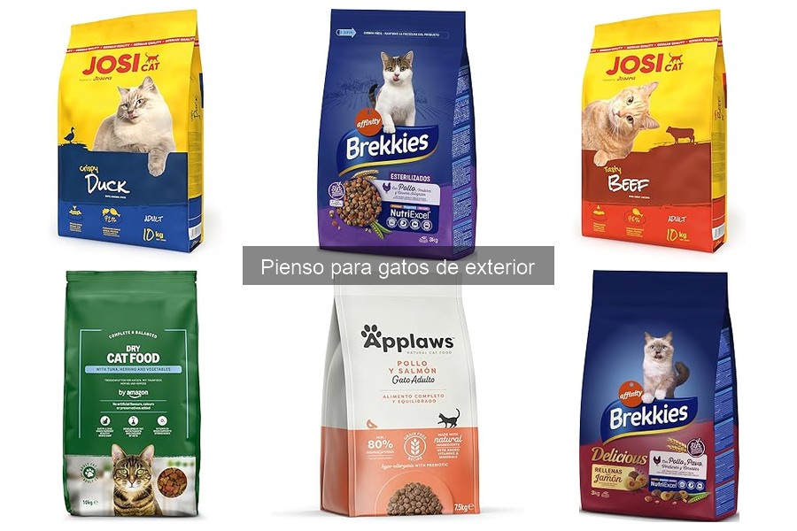 Ventajas y desventajas del pienso para gatos de exterior