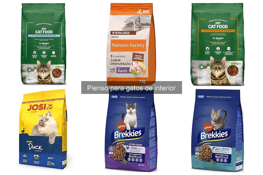 Ventajas y desventajas del pienso para gatos de interior