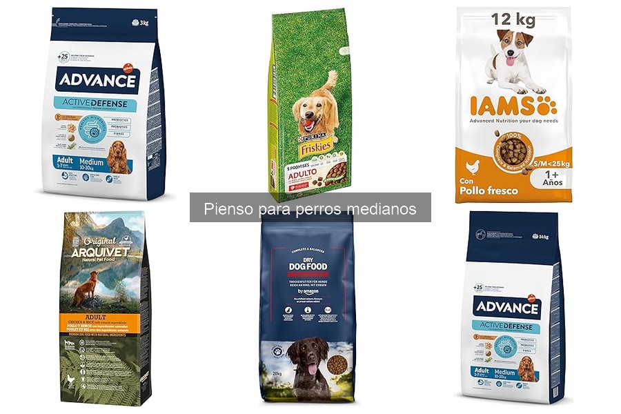 Ventajas y desventajas del pienso para perros medianos