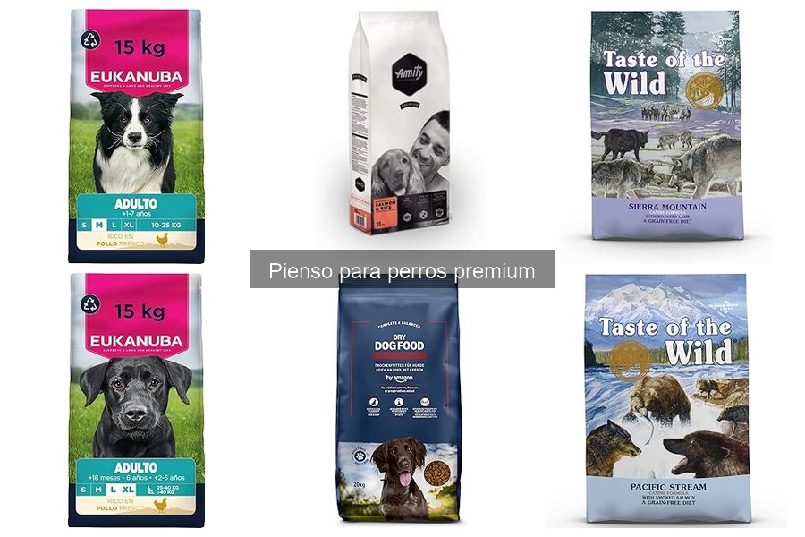 Ventajas y Desventajas del Pienso Premium para Perros